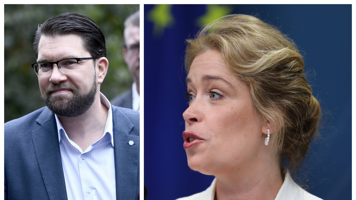 Sverigedemokraterna säger sig vilja diskutera ministerposter.
